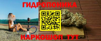 apvp Дмитров